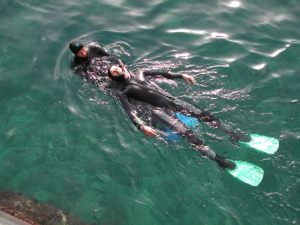 course_transport_surface