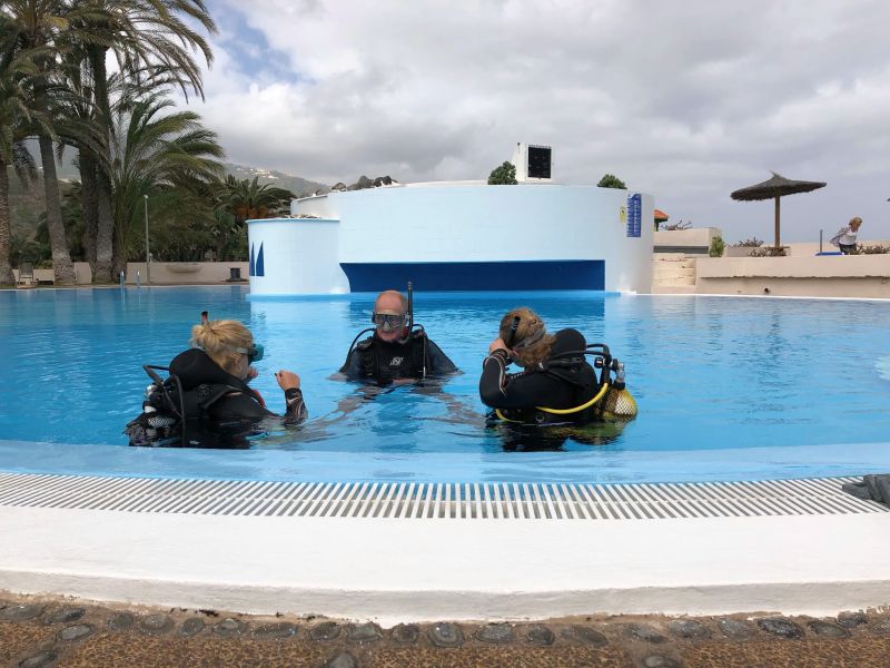 Offers Dive Centre ATLANTIK - Tenerife