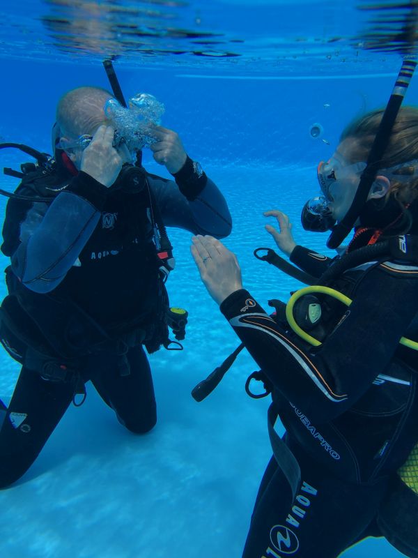 Offers Dive Centre ATLANTIK - Tenerife
